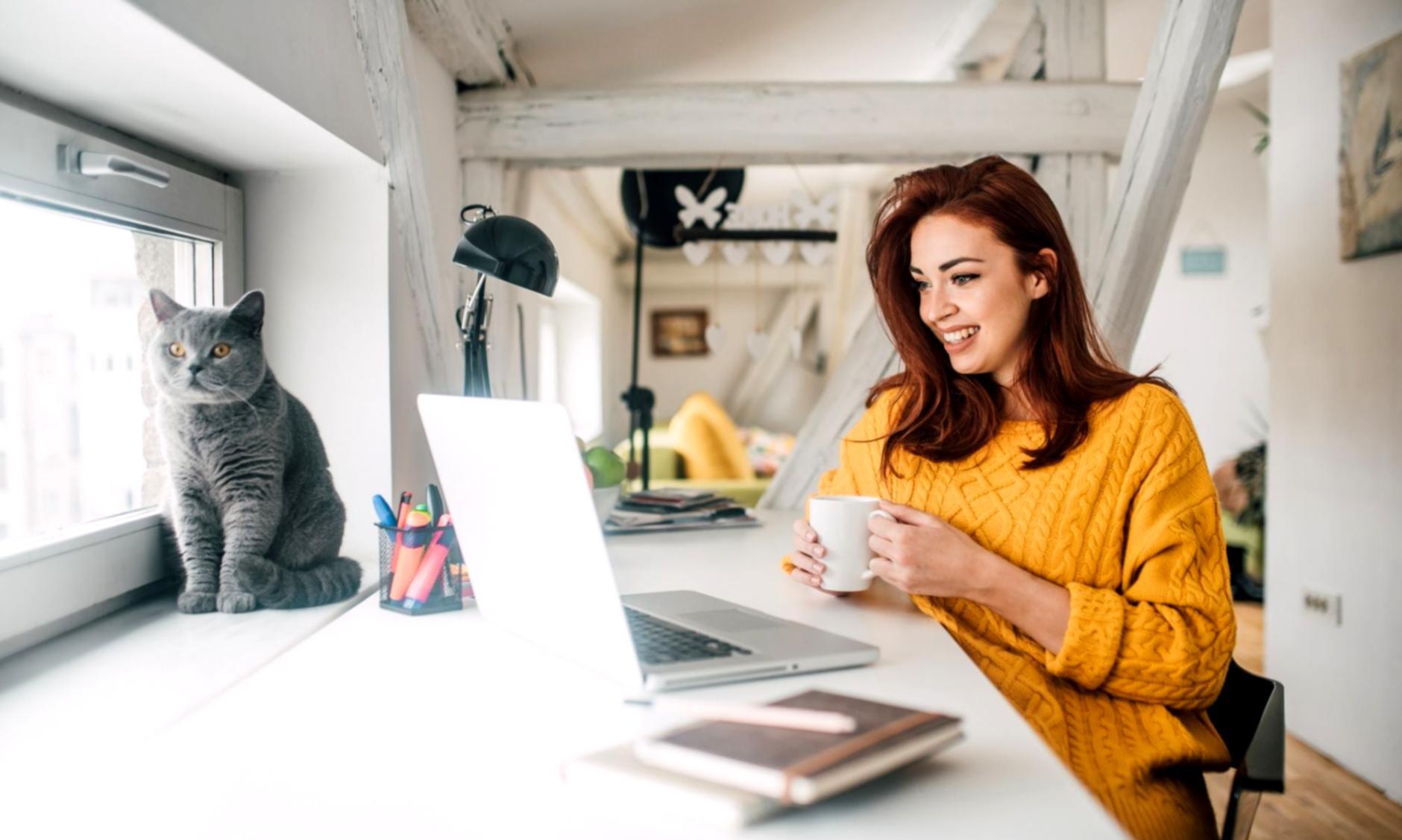 Moderne Online-Lernumgebung mit interaktiven Tools